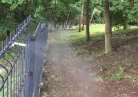 jak zabezpieczyć ogród przed insektami