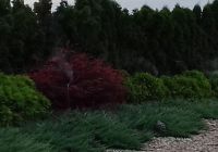 środek na kleszcze do ogrodu