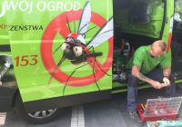 bezpieczny dla dzieci środek na insekty