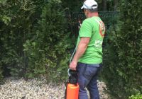 jak zabezpieczyć ogród przed owadami