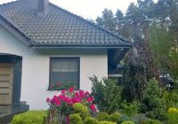 pomysł na pozbycie się insektów