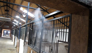 Misting at a horse stable in Istanbul