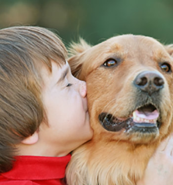dog and boy enjoy a mosquito-free yard