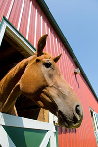 mosquito misting systems were called fly control systems or fly spray systems